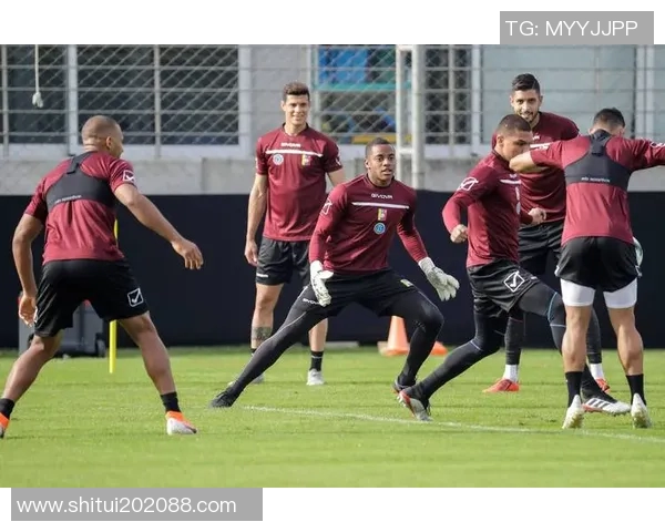 玻利维亚足球明星:揭示埃尔瓦迪亚与国家队的辉煌历程及贡献